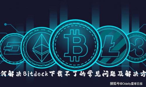 如何解决Bitdock下载不了的常见问题及解决方案