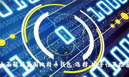 全面解析美国比特币钱包：选择、安全性及推荐