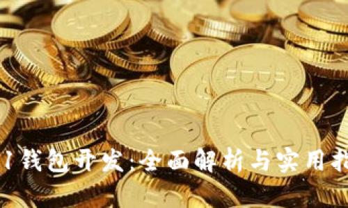 x11钱包开发：全面解析与实用指南