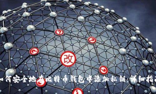 如何安全地在比特币钱包中添加私钥：详细指南