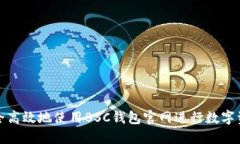 如何安全高效地使用BSC钱