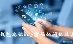 如何解决IM钱包忘记key密码