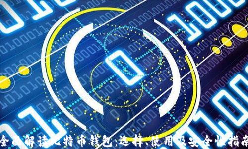 
全面解读比特币钱包：选择、使用及安全性指南