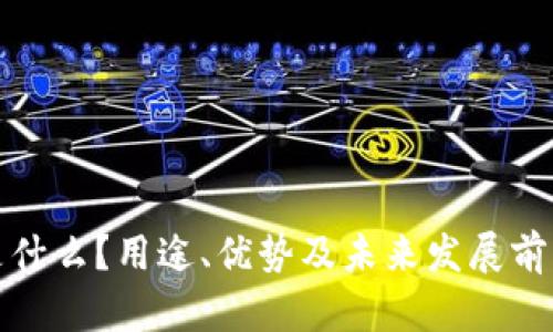 波币是什么？用途、优势及未来发展前景探讨