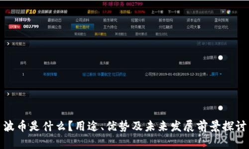 波币是什么？用途、优势及未来发展前景探讨