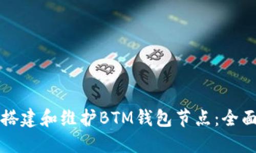 如何搭建和维护BTM钱包节点：全面指南