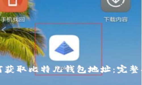 如何获取比特儿钱包地址：完整指南