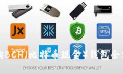 如何高效查询BCH（比特币