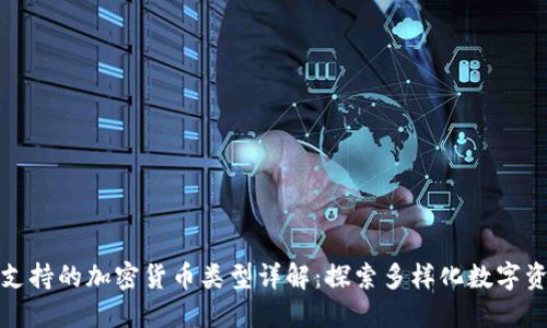 优盾钱包支持的加密货币类型详解：探索多样化数字资产的选择