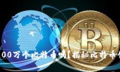 中本聪真的拥有100万个比