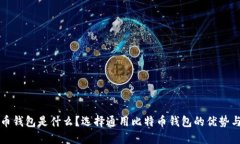 比特币钱包是什么？选择