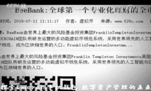 
探索Emerald手机钱包：数字资产管理的未来