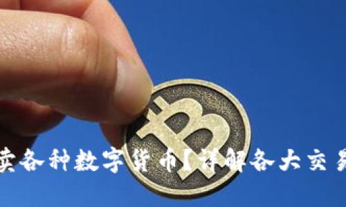 在哪个平台可以买卖各种数字货币？详解各大交易所优势与选择指南