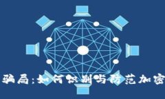 揭秘中国币圈骗局：如何