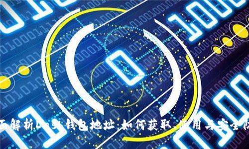 全面解析Dash钱包地址：如何获取、使用与安全防护