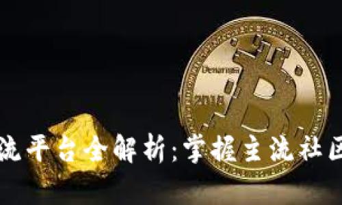 币圈交流平台全解析：掌握主流社区与论坛