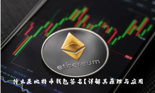 什么是比特币钱包签名？详解其原理与应用