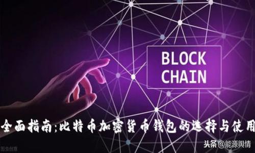 全面指南：比特币加密货币钱包的选择与使用