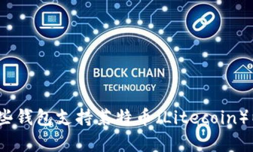 全面解析：哪些钱包支持莱特币（Litecoin）以及选择指南