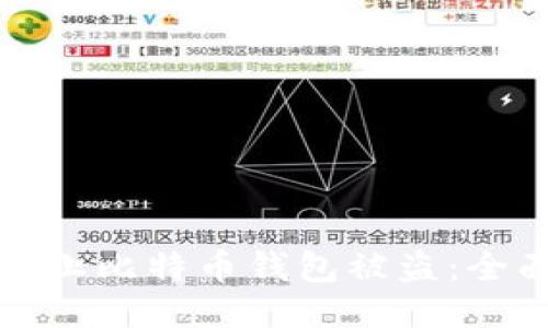 如何防止比特币钱包被盗：全面指南