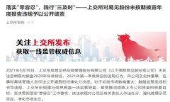 在撰写有关“冰币APP”最