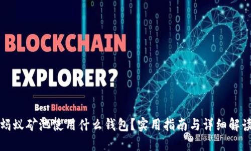 蚂蚁矿池使用什么钱包？实用指南与详细解读