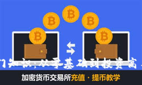 币圈小白入门知识：从零基础到投资高手的必备指南