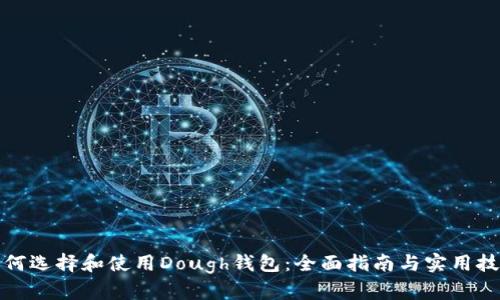 如何选择和使用Dough钱包：全面指南与实用技巧
