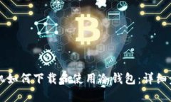苹果手机如何下载和使用
