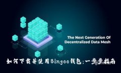 如何下载并使用Bingoo钱包