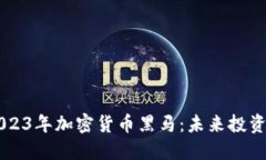 揭秘2023年加密货币黑马：