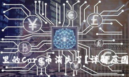 小狐狸钱包里的Core币消失了？详解原因及解决方案