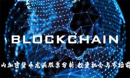 国内加密货币龙头股票分析：投资机会与市场前景