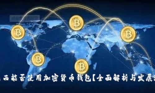 : 巴西能否使用加密货币钱包？全面解析与发展现状