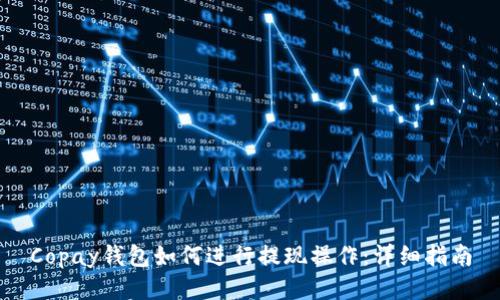 Copay钱包如何进行提现操作：详细指南