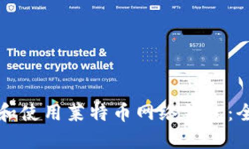 如何选择和使用莱特币网络钱包：全方位指南