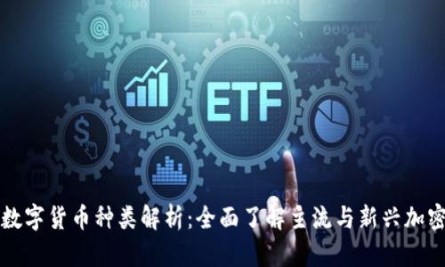 加密数字货币种类解析：全面了解主流与新兴加密货币